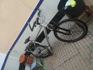 Bicicleta de montaña plateada