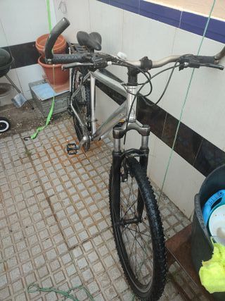 Bicicleta de montaña plateada