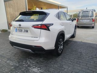 Lexus NX 2015
