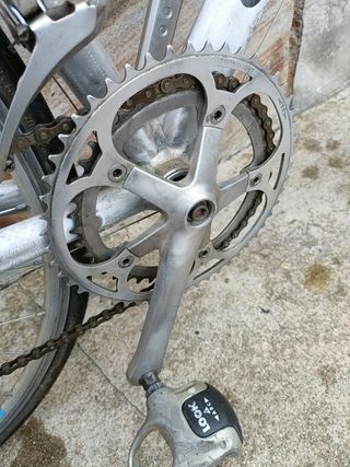 Wilier Triestina Fiandre Shimano RX100 Mis 55