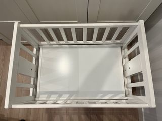 Minicuna Colecho Allegra