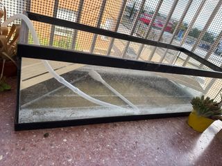 Acuario tortuga grande