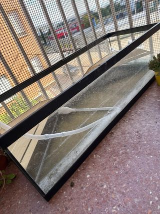 Acuario tortuga grande