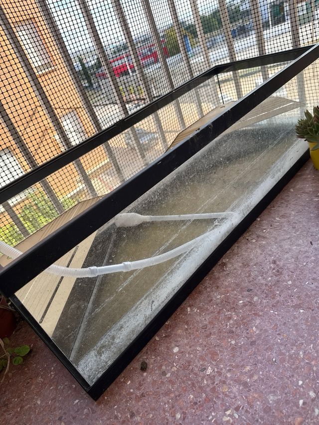 Acuario tortuga grande