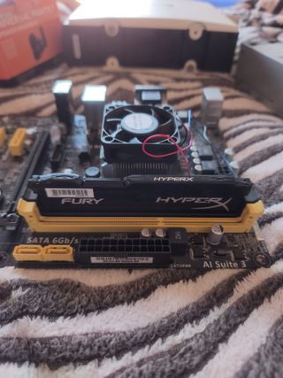 Placa Base Asus AM1M-A