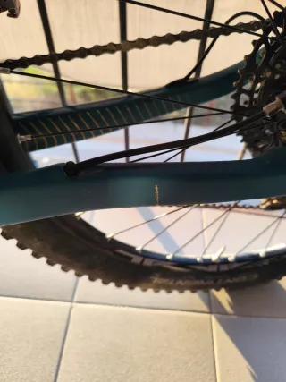  Conor WRC 29 Special Carbono