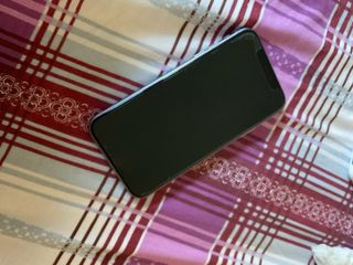 iPhone 11 viola
