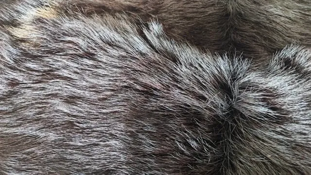 Alfombra Piel de Cabra Negra