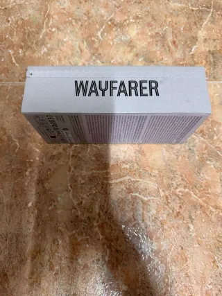 Ray-Ban Meta Wayfarer