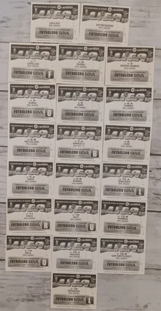 Cromos Liga 2009-2010 Real Madrid