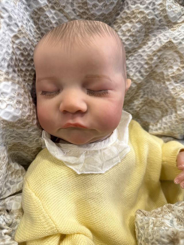 Muñeco Reborn Completo