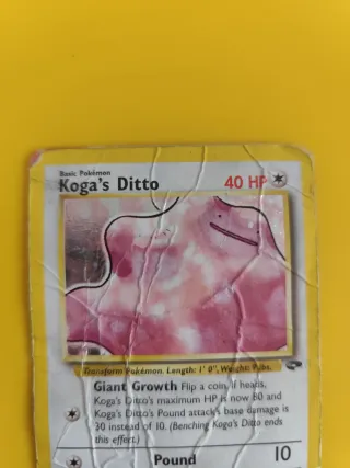 Carte Pokémon Koga's Ditto Gym pt.2