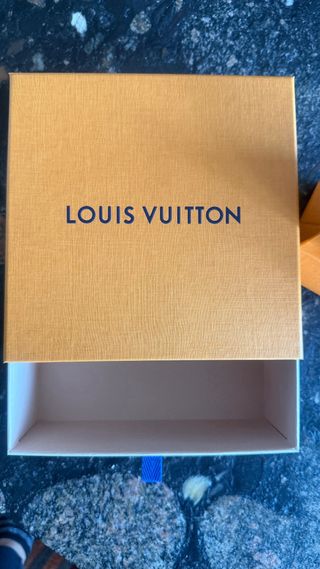 Scatoline Louis Vuitton Arancioni