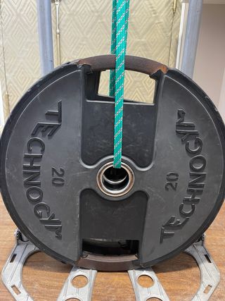 2 Discos Pesas Technogym 20kg