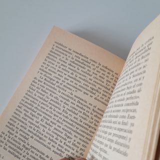 HEGEL SEGÚN HEGEL LIBRO DE BOLSILLO FILOSOFÍA