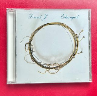 CD David J / Estranged