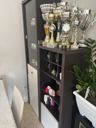 Mueble vitrina cristal y madera