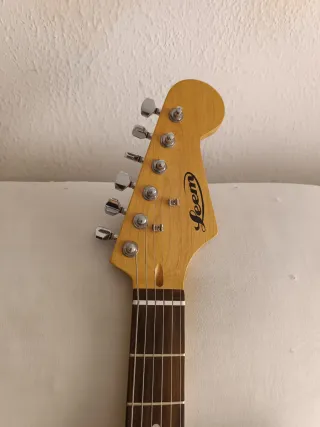 Guitarra Eléctrica Leem Stratocaster Negra