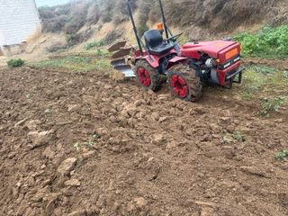 Tractor Pascuali 991