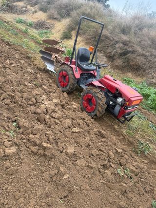Tractor Pascuali 991