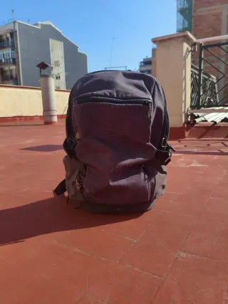 Mochila montaña Quechua 20L NH500