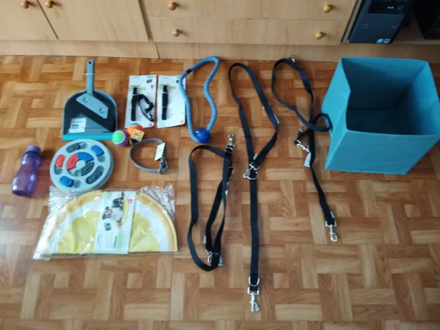 Accesorios para mascotas: collar, correa, juguetes