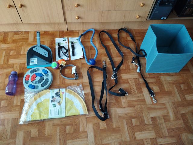 Accesorios para mascotas: collar, correa, juguetes