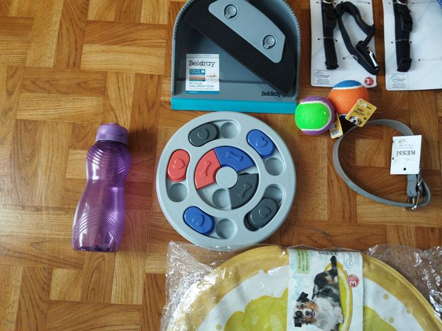 Accesorios para mascotas: collar, correa, juguetes