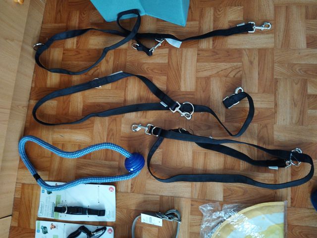 Accesorios para mascotas: collar, correa, juguetes