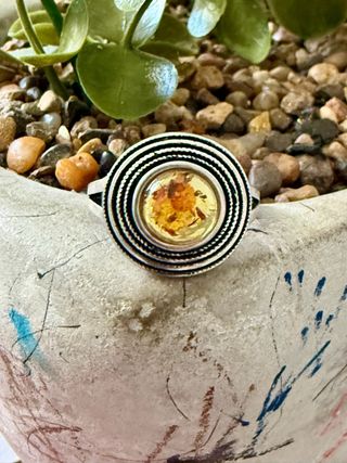 Anillo Plata Ley Ámbar Pétalos