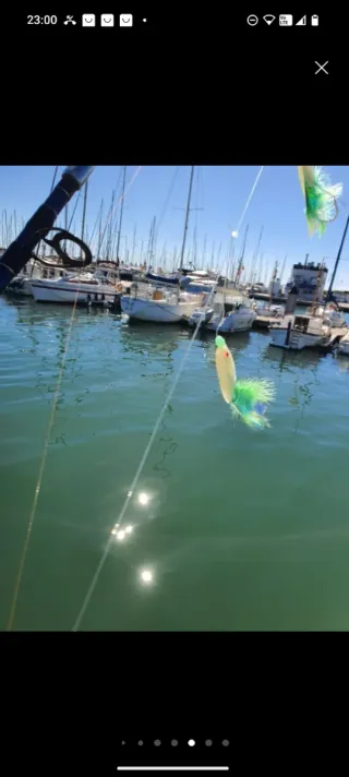 Equipo de pesca completo, EMBARCACIÓN, CURRICAN