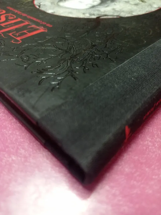 Elisa en el corazón del laberinto