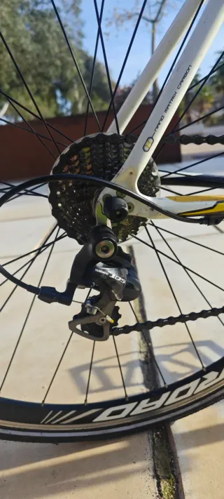 Bicicleta carretera carbono