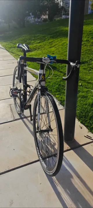 Bicicleta carretera carbono