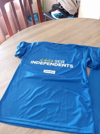 Camisetas niño manga corta azul.talla 5-8