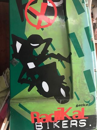 Máquina recreativa Gaelco Radikal Bikers