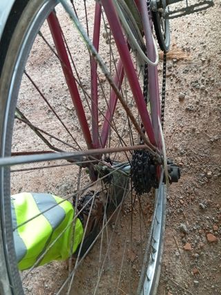 Bicicleta Paseo Orbea Roja