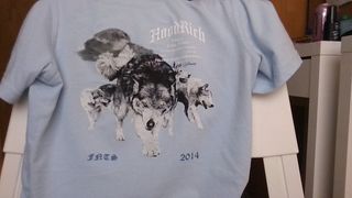 Camiseta Hoodrich azul claro