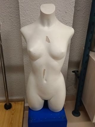 Torso Maniquí Mujer Blanco