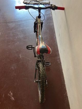 Bicicleta infantil niño