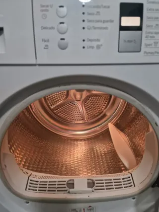 Secadora Bosch Avantixx 7