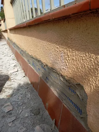 Paletería, Pladur y bajantes.