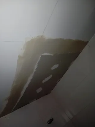 Paletería, Pladur y bajantes.