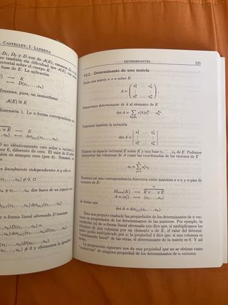 Álgebra lineal y geometría (Spanish Edition)