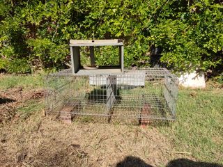 Gàbia per animals metàl·lica