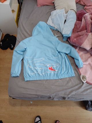 Chándal Lacoste Azul
- chabdal original 
