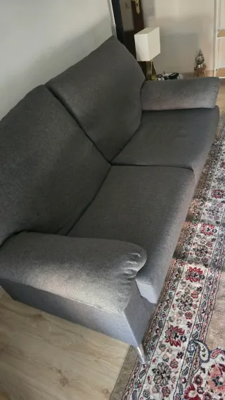 Sofá de 2 plazas gris