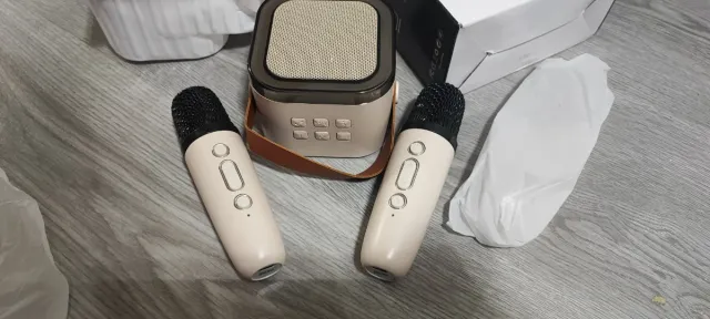 Kit Karaoke con 2 Micrófonos