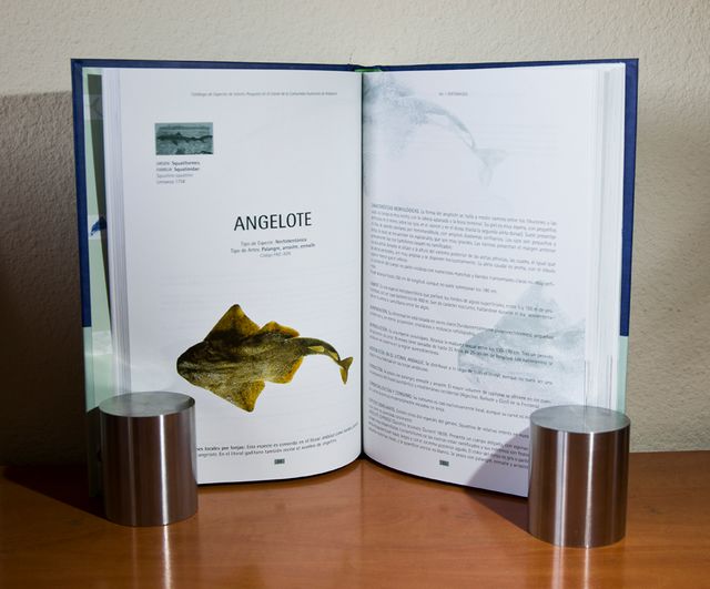 ESPECIES DE INTERES PESQUERO DEL LITORAL DE ANDALU