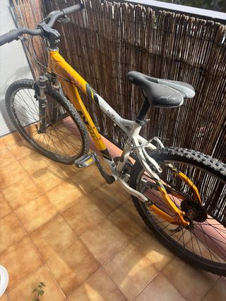 specialized 
monty